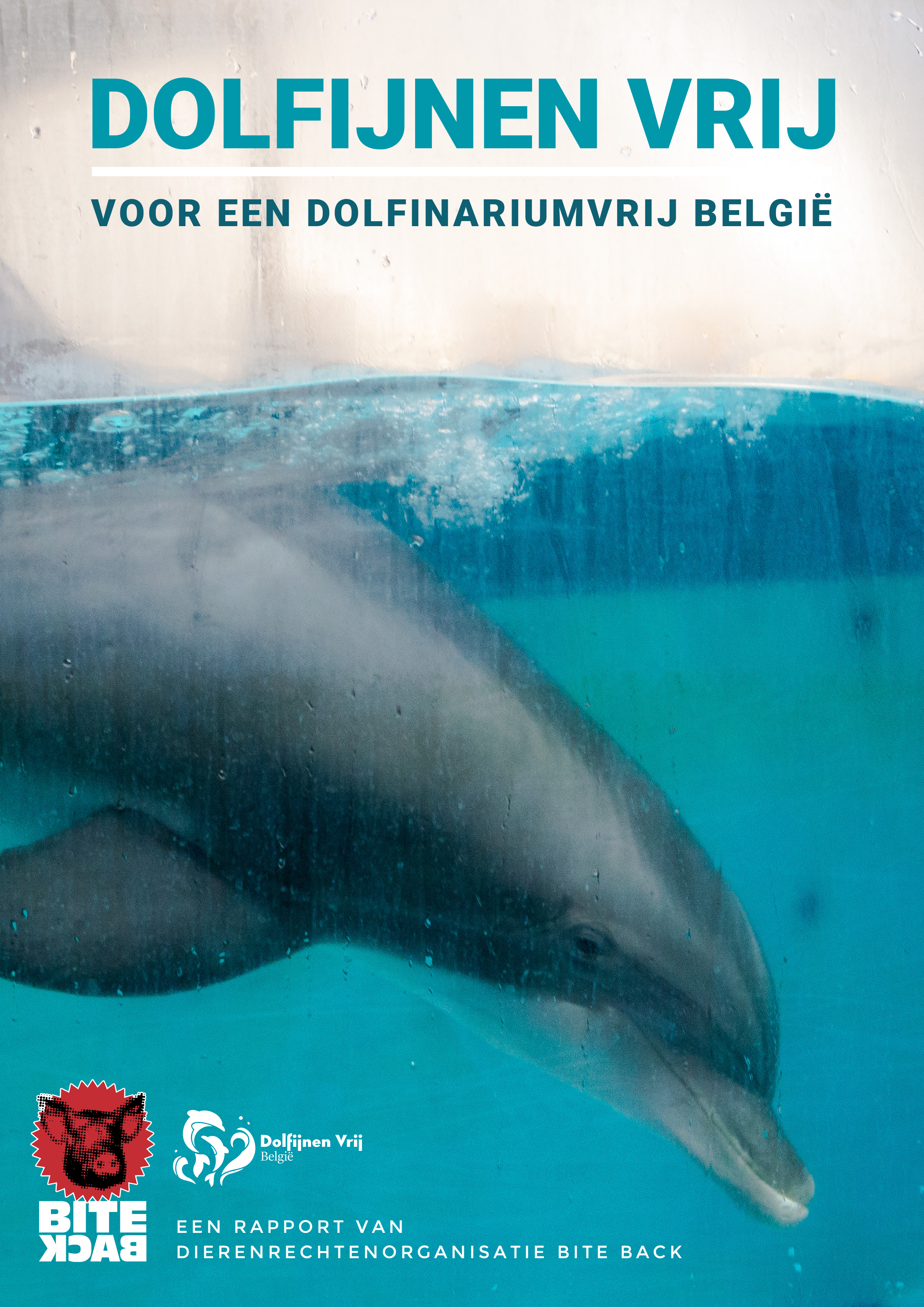 rapport dolfijnen vrij - Bite Back